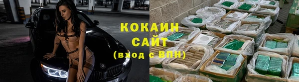 мяу мяу мука Богданович