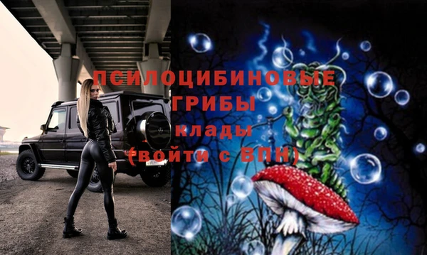 гашик Богородицк