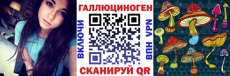 наркотики  Октябрьский  Псилоцибиновые грибы мицелий 
